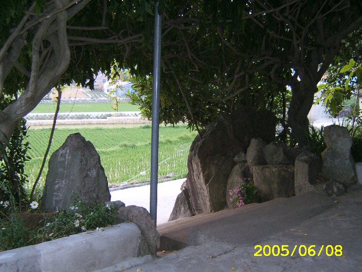 1 216.jpg